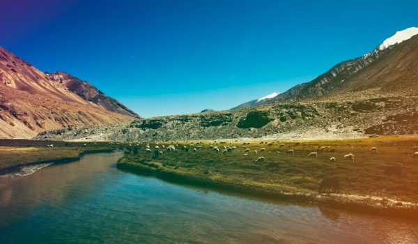 Naltar Valley